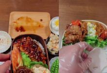 【617款】日式便当盒饭创意摆盘制作小清新美食小说推文解压视频素材