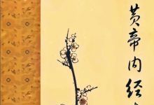 黄帝内经素问等18本素问类中医古籍txt版本 百度网盘下载