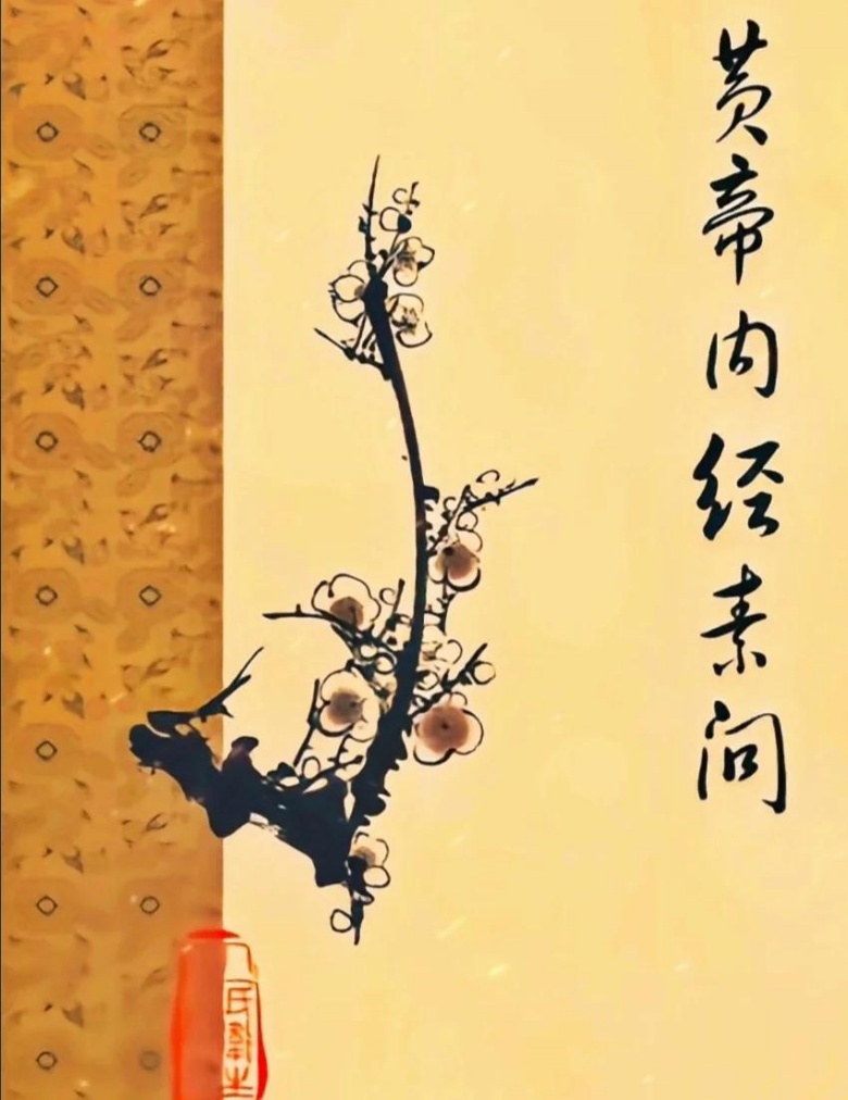 黄帝内经素问等18本素问类中医古籍txt版本 百度网盘下载